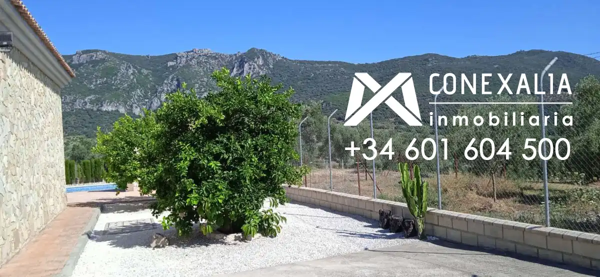 Finca rústica en venta en Algodonales con Piscina