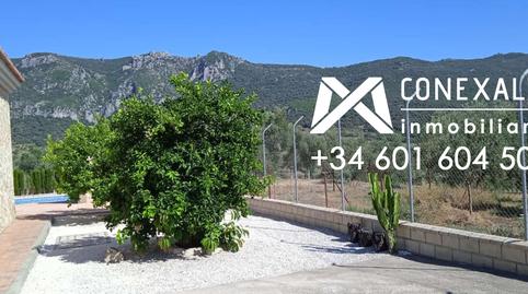 Foto 3 de Finca rústica en venta en N/a, Algodonales, Cádiz