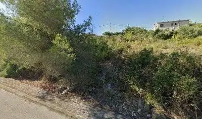 Terreny rústic en venda a DALIA