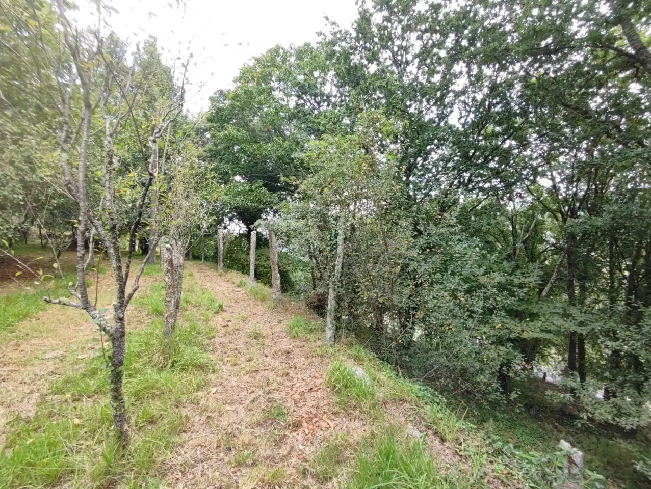 Casa o chalet en venta en Pazos de Borbén con Calefacción, Jardín privado y Terraza
