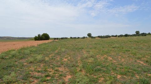Este terreno se encuentra en Paraje, Aldehuela, 16400, Tarancón, Cuenca. Es un terreno que tiene 9295 m2 .



Inmobiliaria Teó, immagine 5