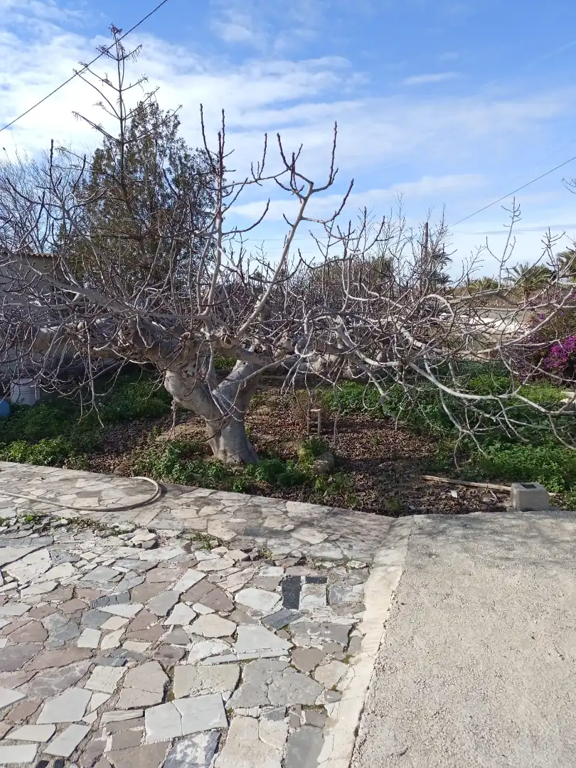 Villa con giardino in vendita a La Algoda - Matola - Llano de San José, imagen 30