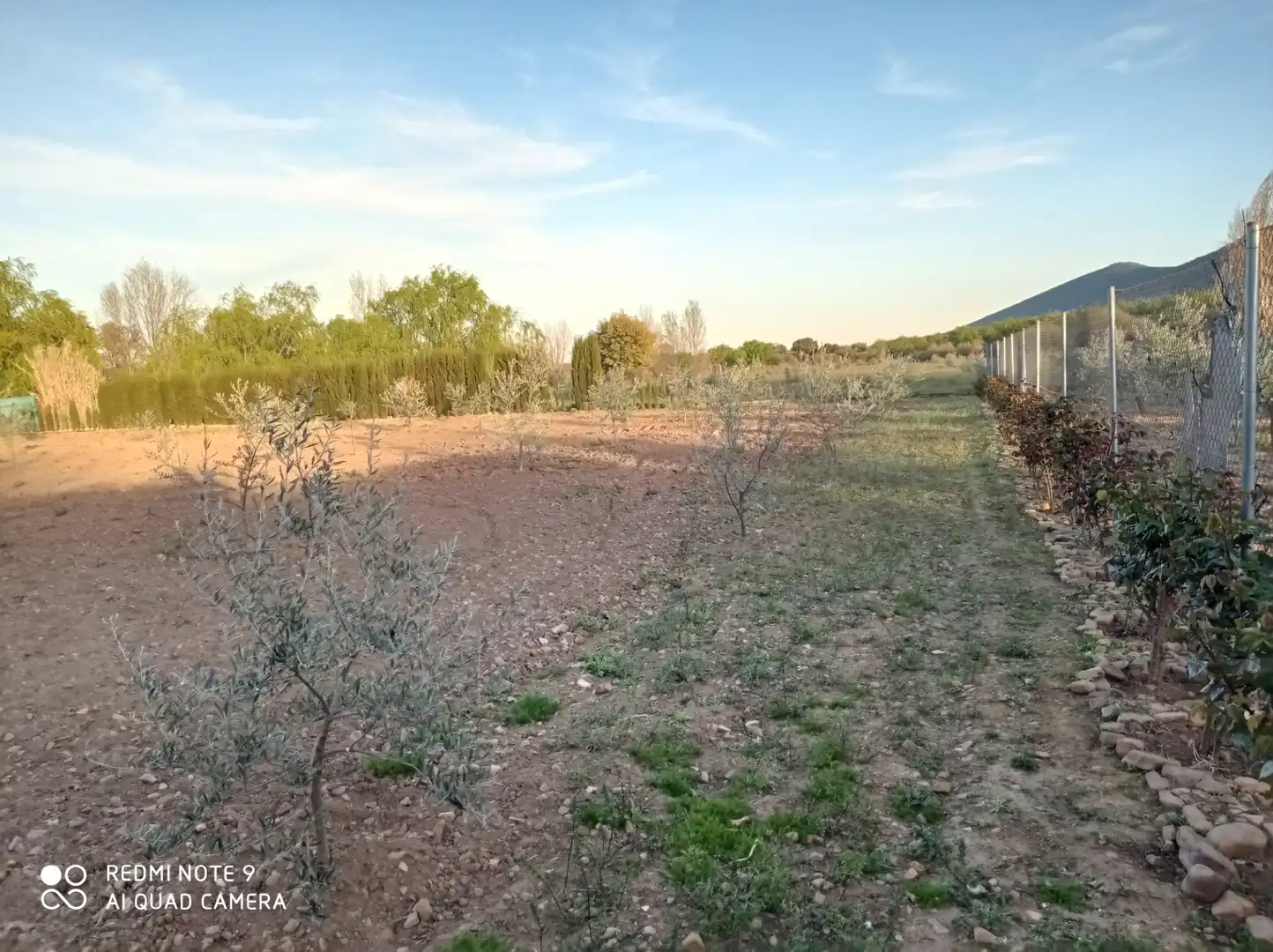 Chalet con jardín en venta en Porzuna, imagen 16