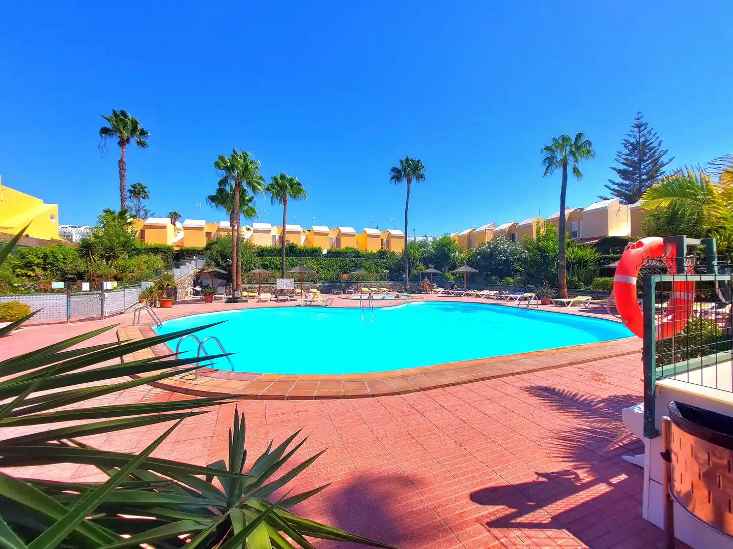 Piscina de Dúplex de alquiler en San Bartolomé de Tirajana con Jardín privado, Terraza y Piscina