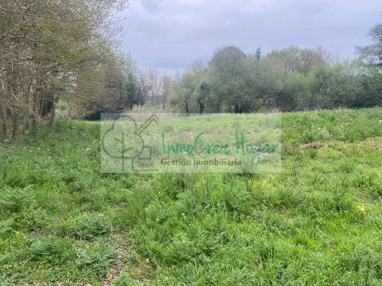 Lands and plots for sale in Salceda de Caselas, imagen 9