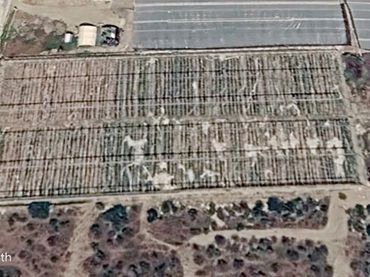 Rural land for sale in Alhabia