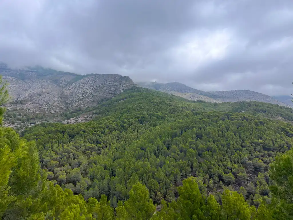 Wohnbaugrundstück zum Verkauf in Altea ciudad, imagen 8