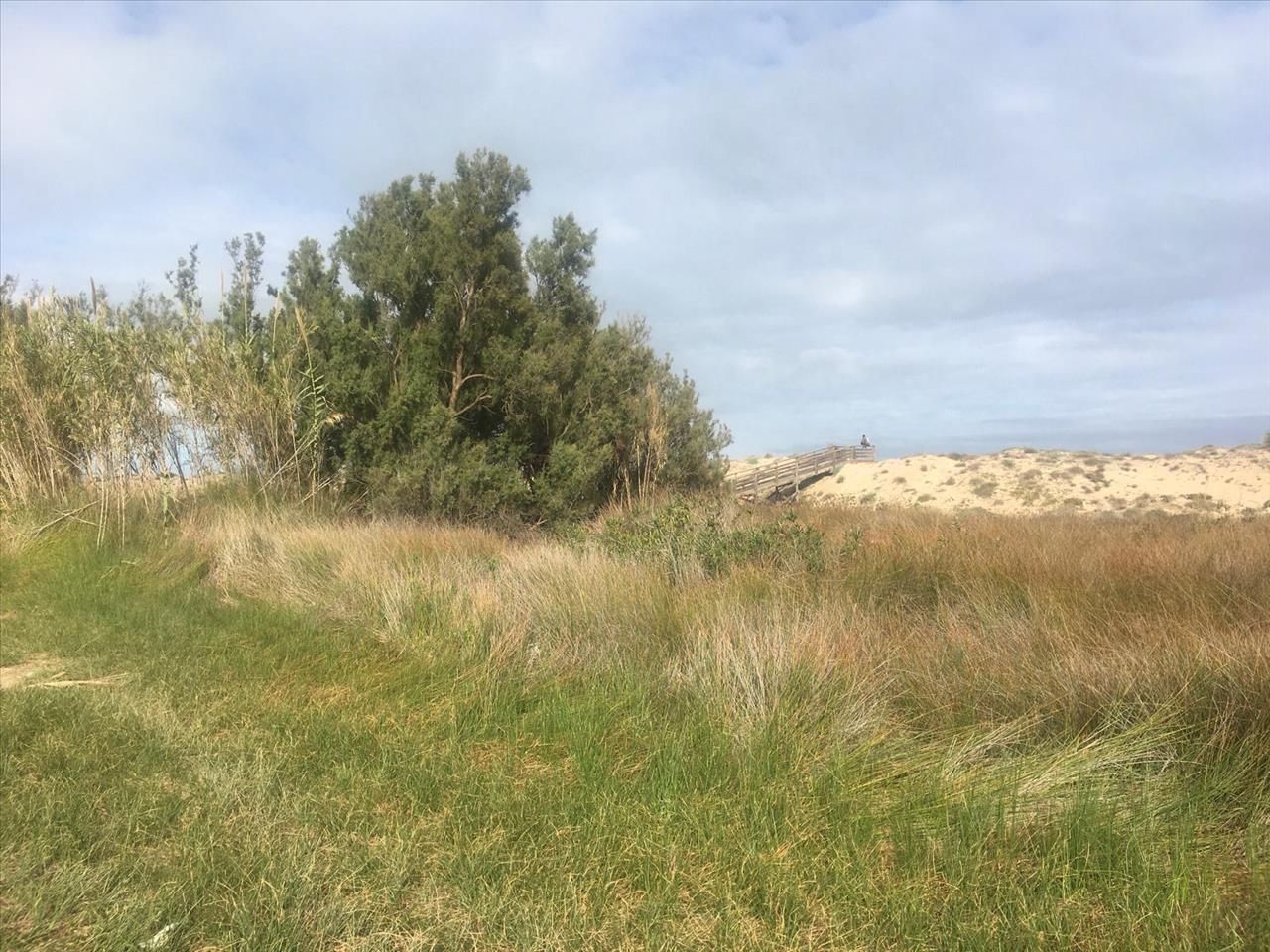 Land for sale in Cullera