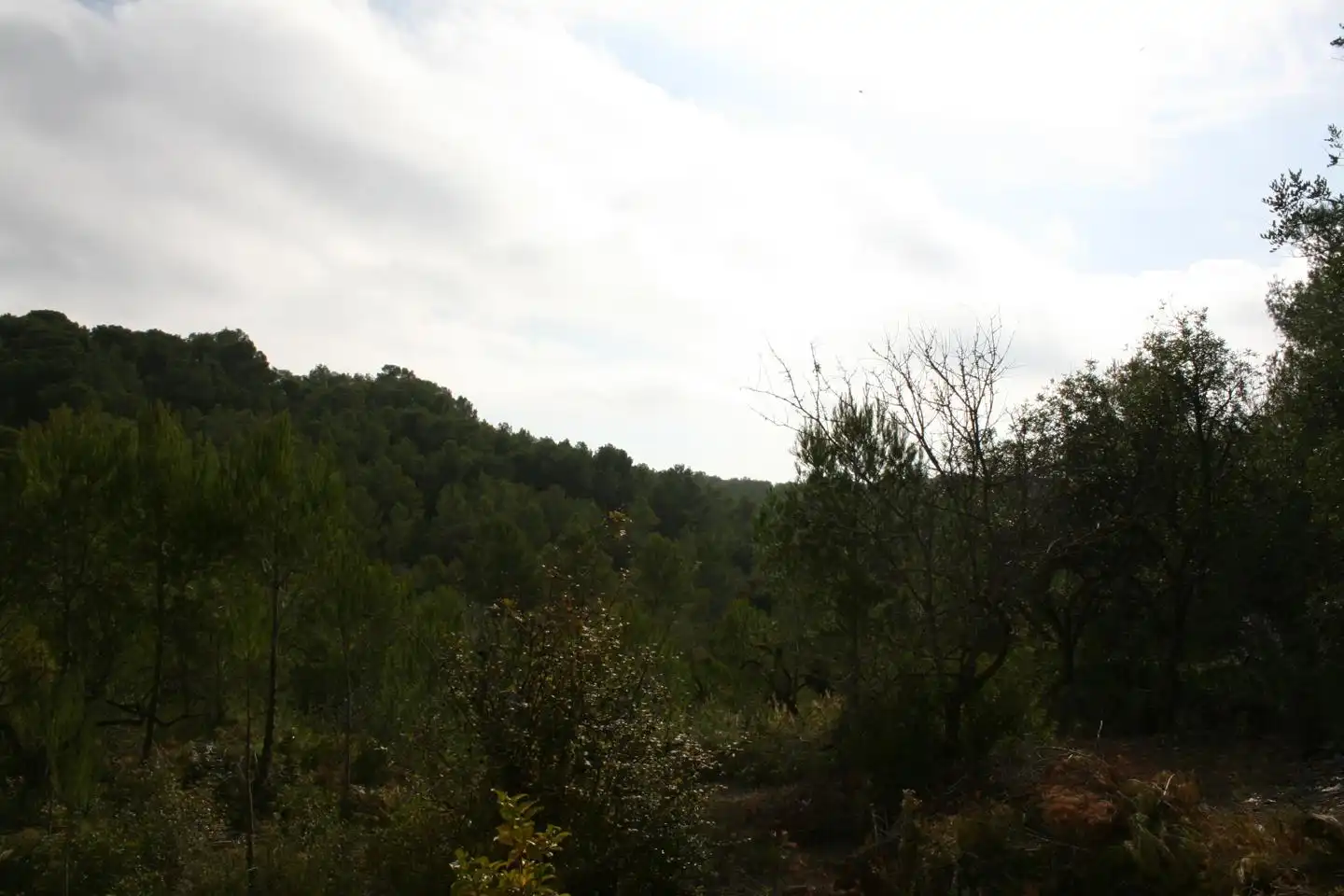 Maison rustique à vendre à peres, imagen 7