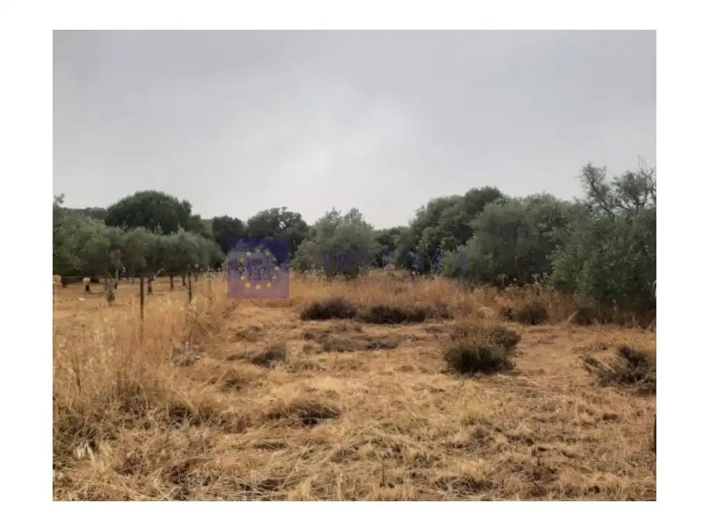 Terreni e lotti in vendita a Sierra de Fuentes, imagen 8