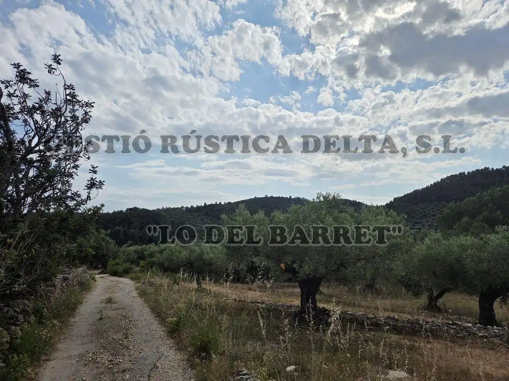 Vista exterior de Finca rústica en venda en El Perelló