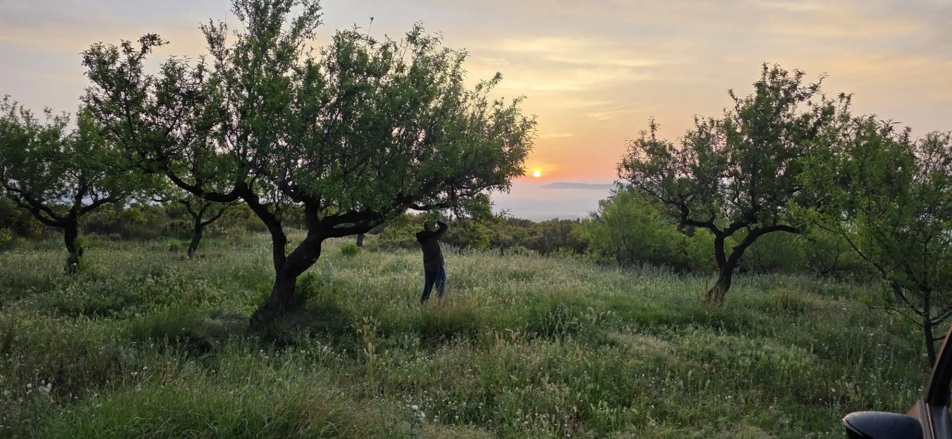 Terreno en venta en Canet lo Roig