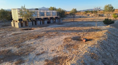 Foto 5 de Finca rústica en venda a El Verdegàs, Alicante / Alacant