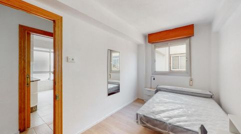 Foto 2 de Habitación en Parque Geólogo José Royo Gómez, Castellón de la Plana / Castelló de la Plana