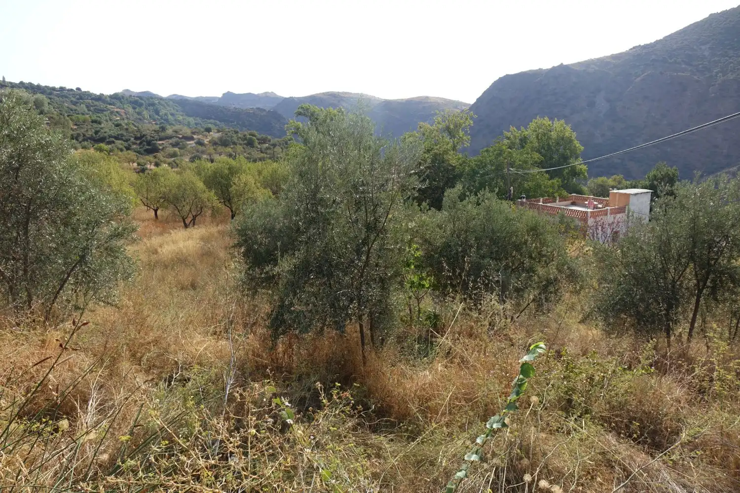 Finca rústica en venta en La Taha