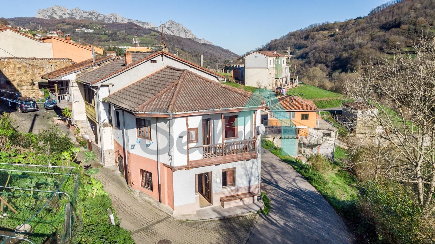 Exterior view of House or chalet for sale in Riosa  with Private garden and Terrace