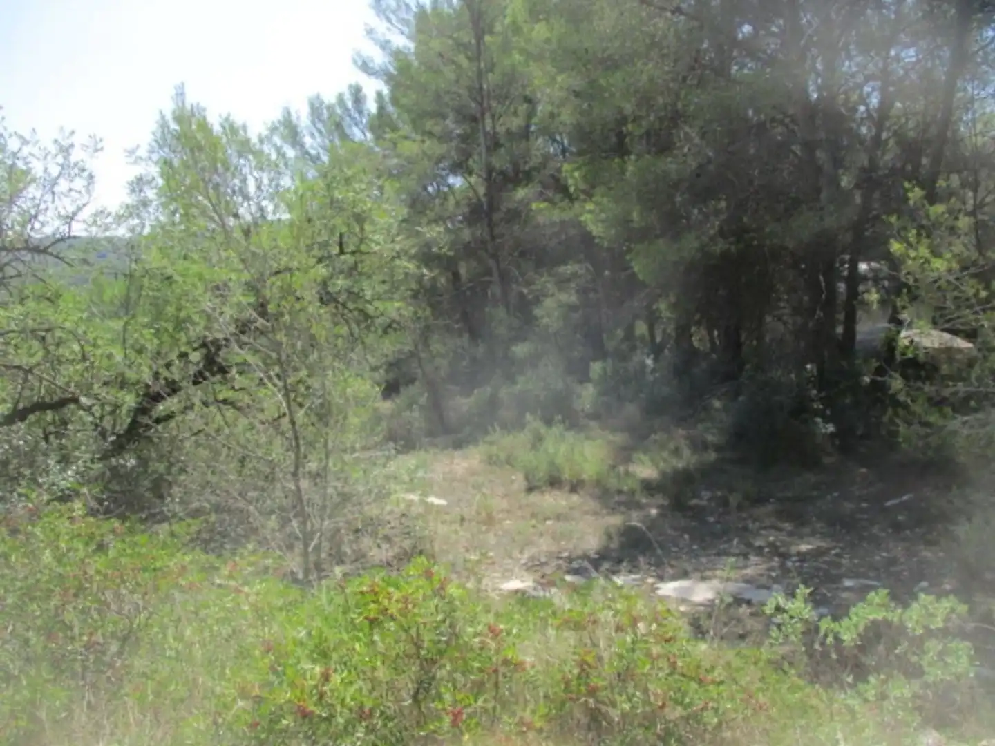 Rural land for sale in Calle Sebastia Riera, imagen 5