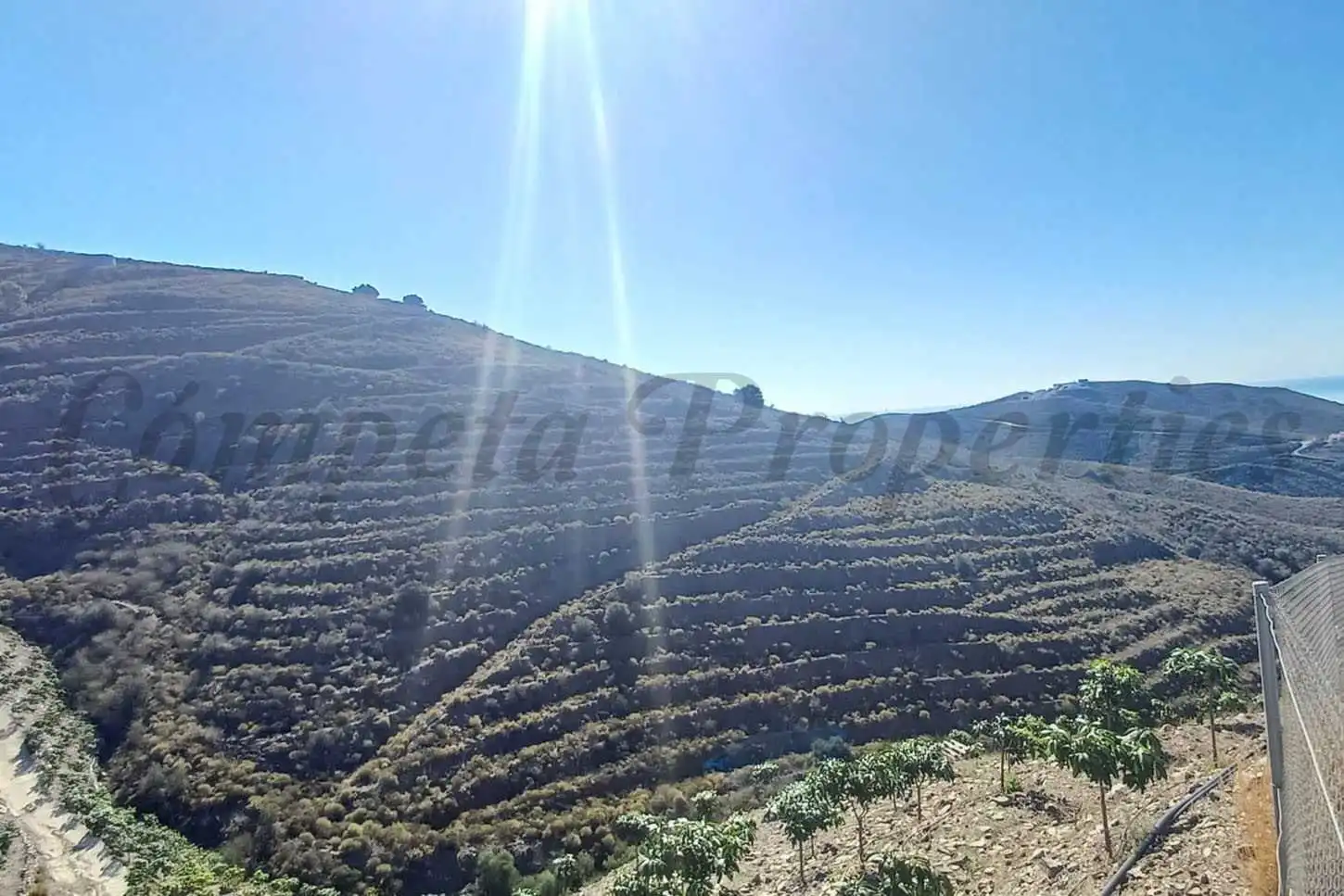 Terreno rustico in vendita a El Morche, imagen 2