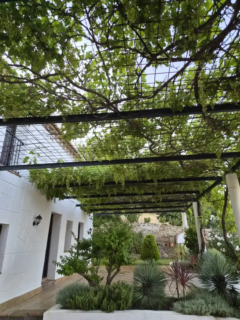 Garden of Country homes for sale in Álora  with Private garden, Terrace and Storage room