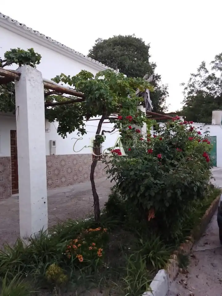 Maison à vendre à Calle Ribera Baja, imagen 2