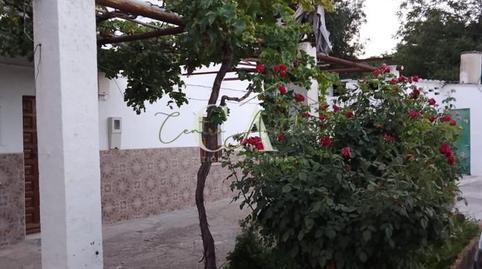 Photo 2 of Houses for sale in Ribera Baja, Puente Genil, Córdoba