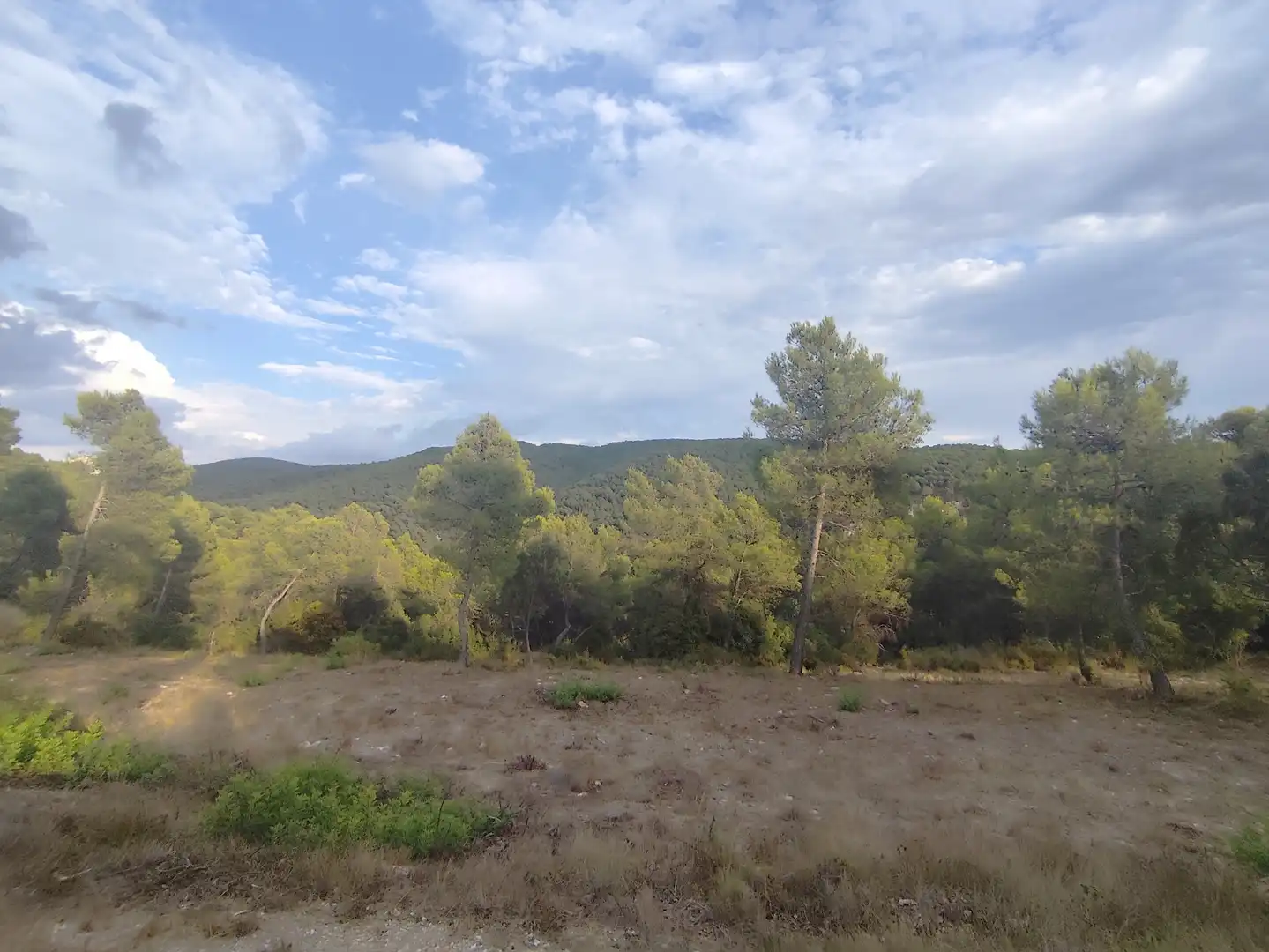 Houses for sale in Carrer Linda, 5, Querol