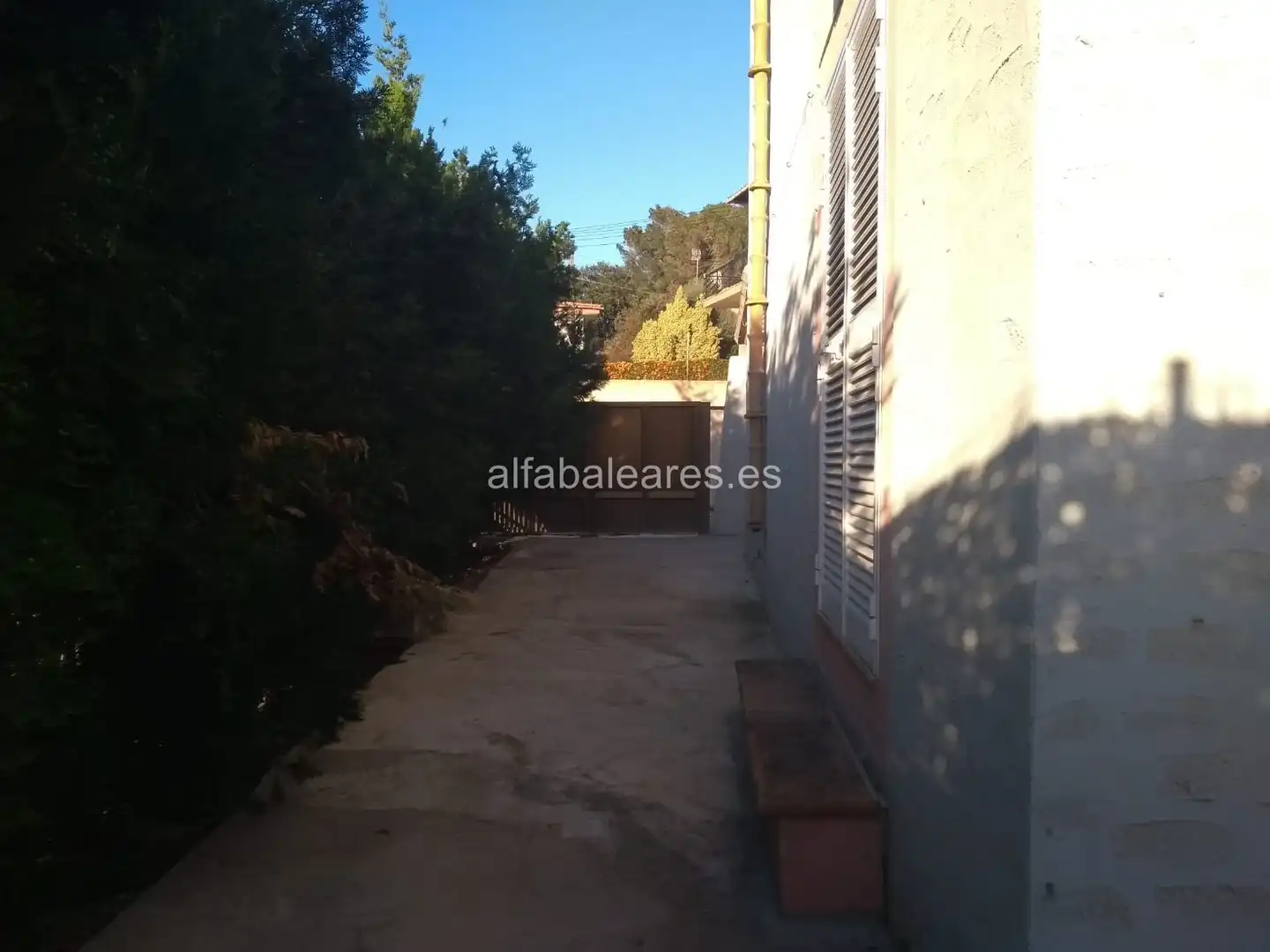 Jardí de Casa o xalet en venda en Alcúdia amb Terrassa, Traster i Moblat