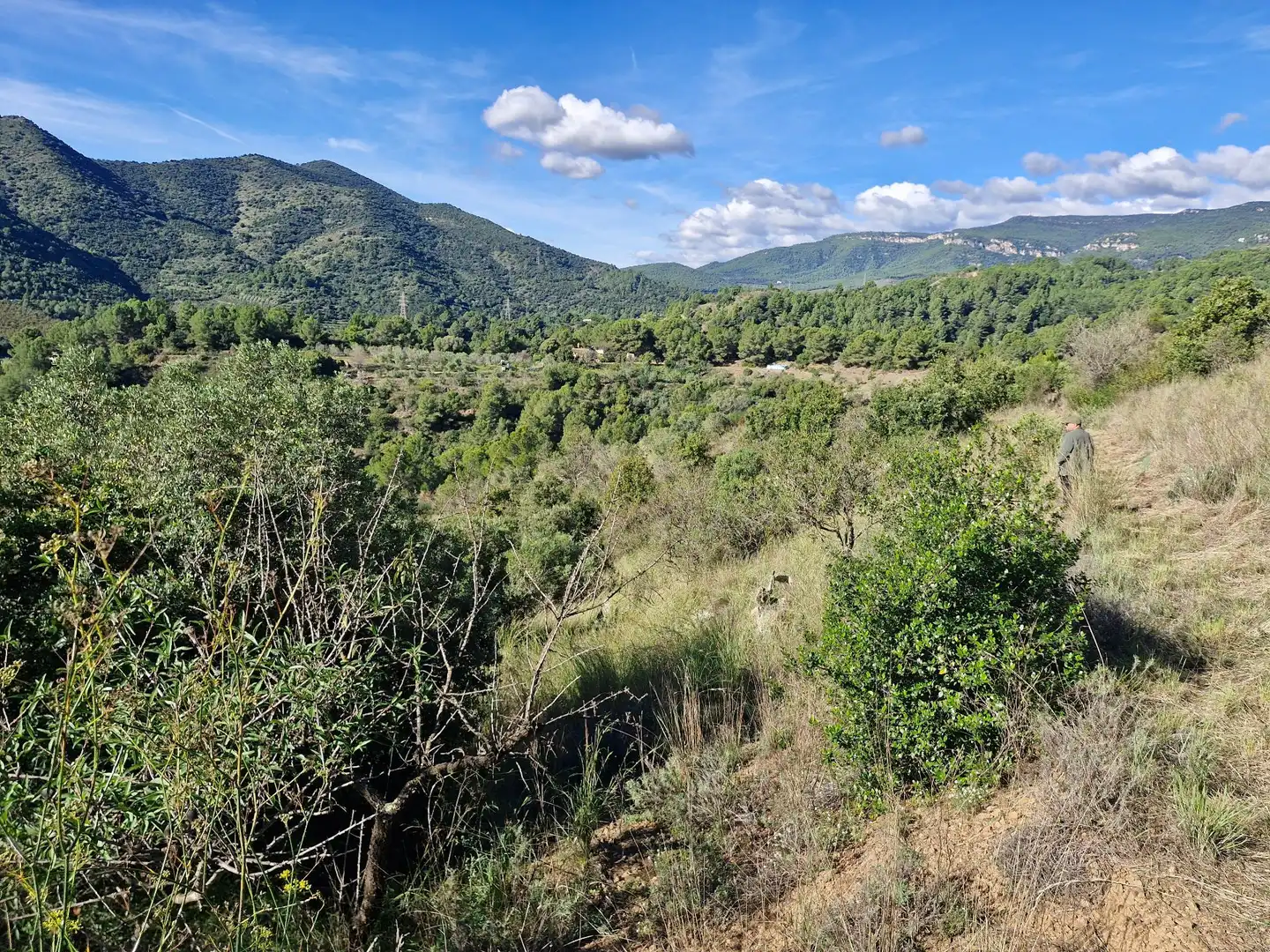 Terreno en venta en La Selva del Camp