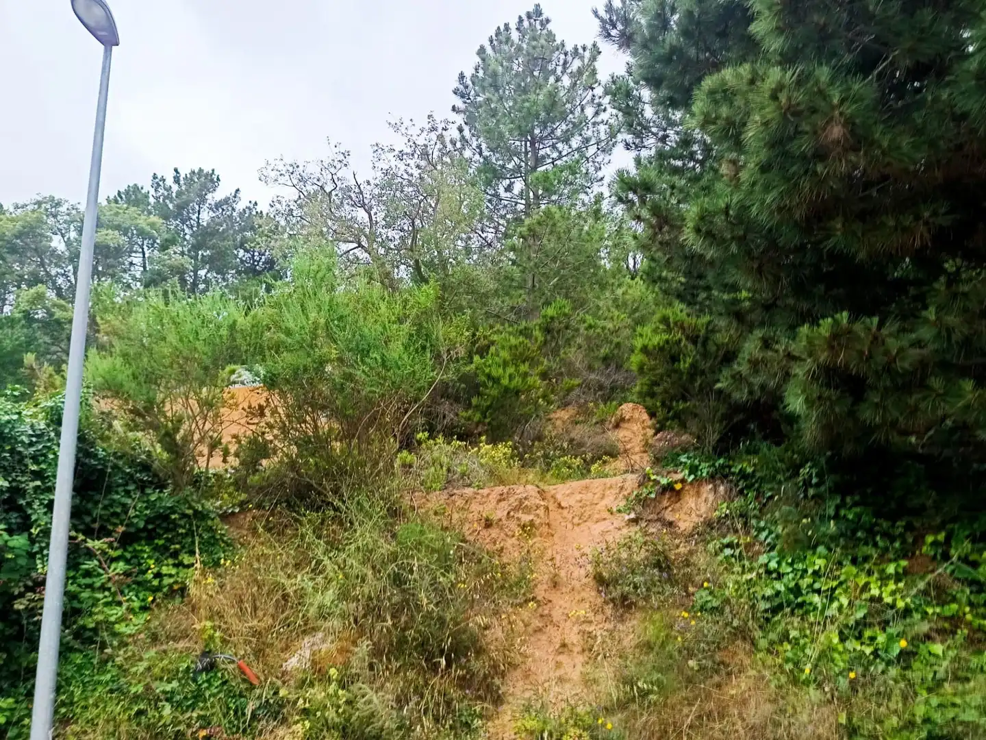 Lands and plots for sale in Llagostera, imagen 2