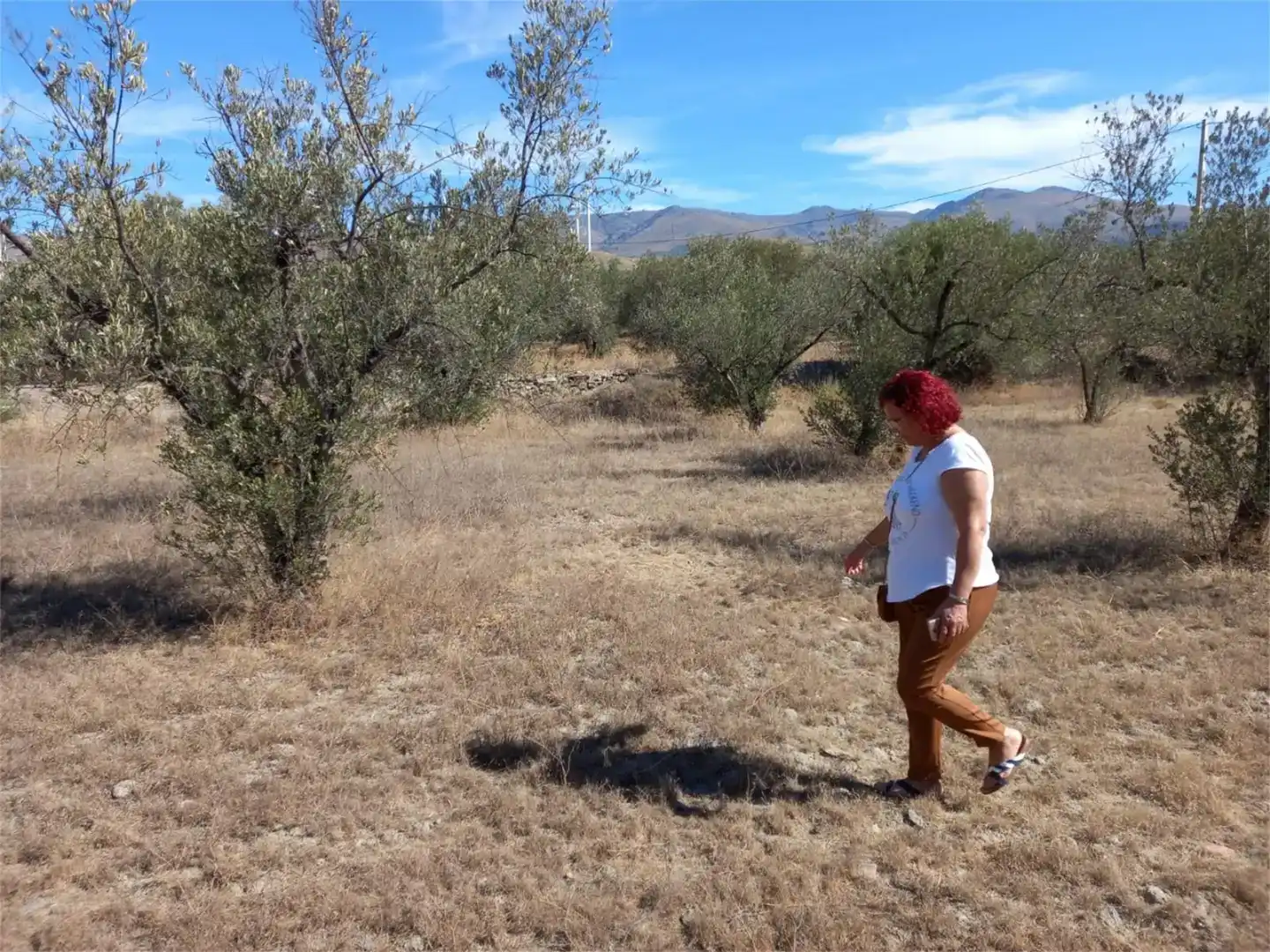 Terreno en venta en Las Tres Villas, Almería