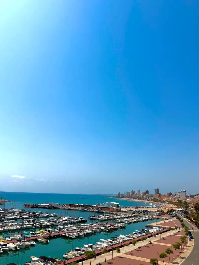 Vista exterior de Casa adosada en venda en El Campello amb Aire condicionat, Jardí privat i Piscina