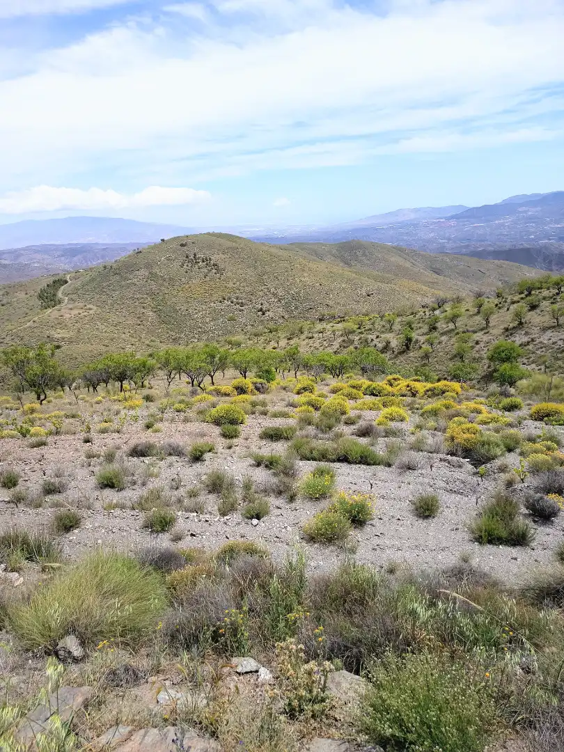 Terreno rustico in vendita a Alboloduy, imagen 15