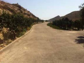 Land for sale in Beniel