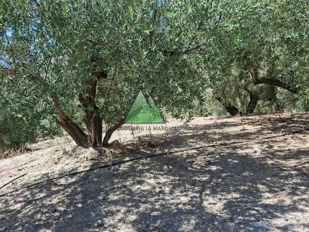 Country house for sale in Alcaucín, imagen 6