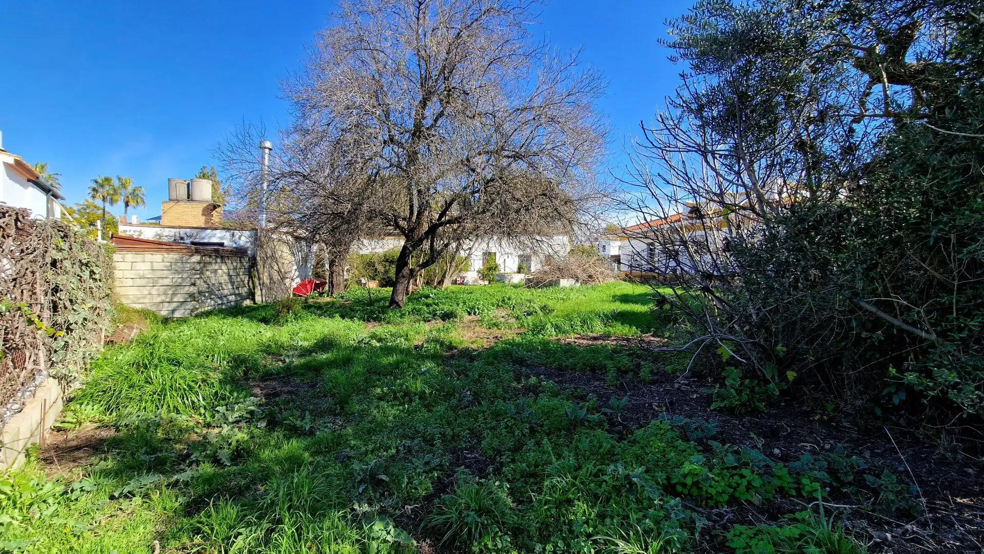 Finca rústica en venta en Valencina de la Concepción