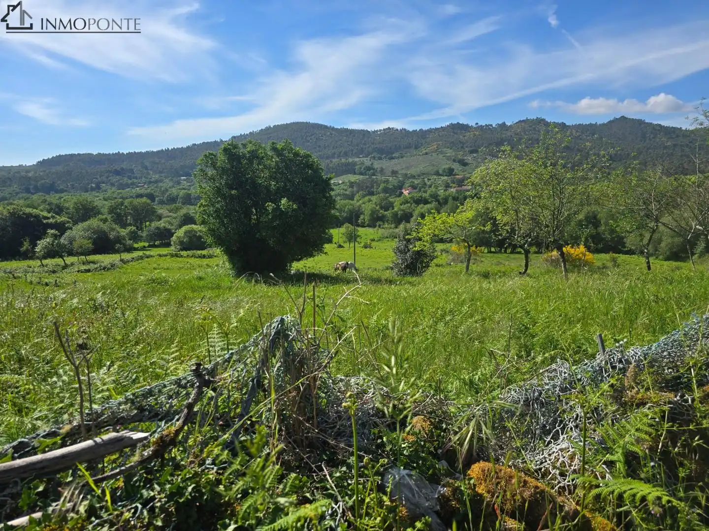 Maison à vendre à Cotobade, imagen 57