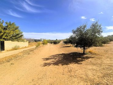 Rural land for sale in Moraleda de Zafayona
