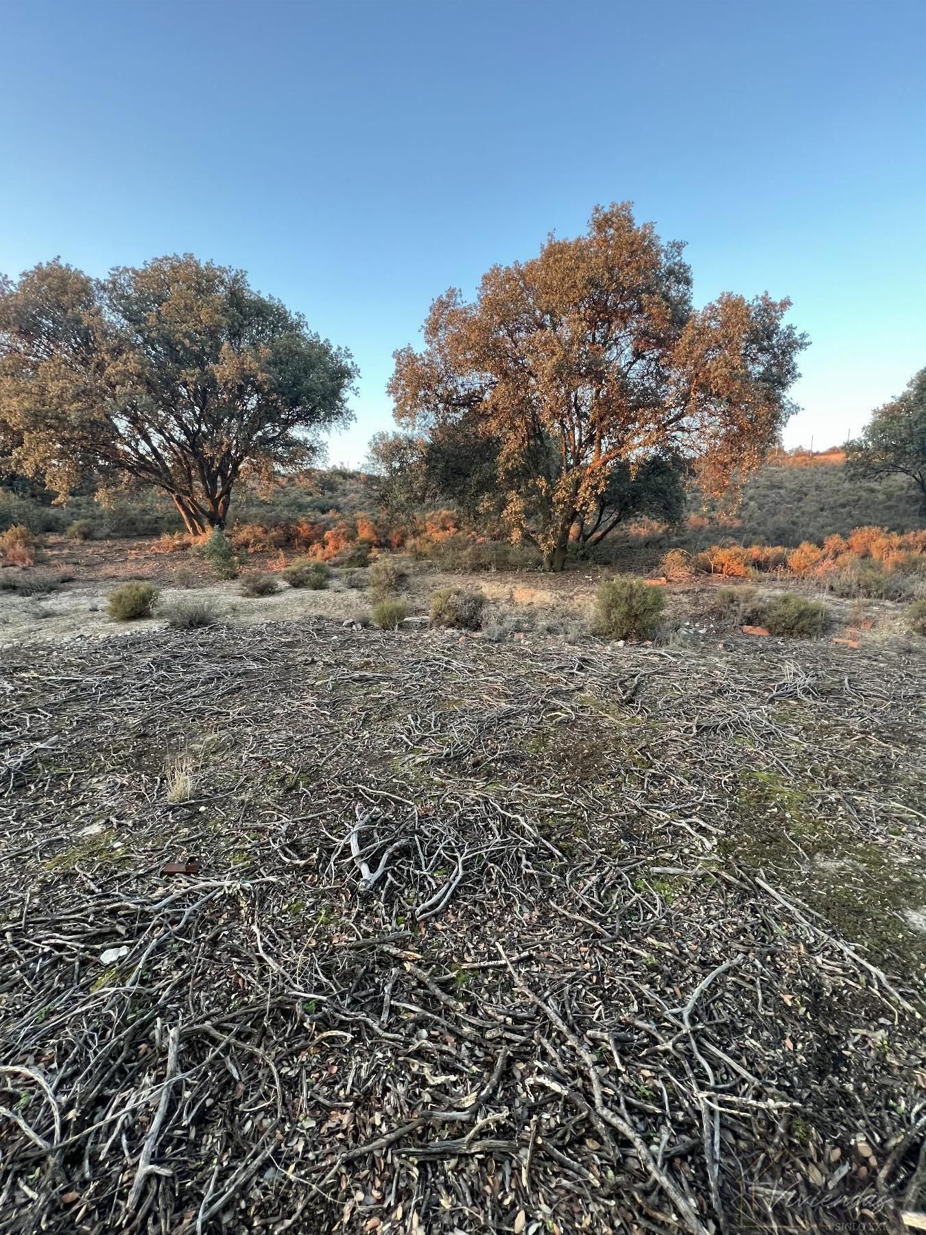 Finca rústica en venda en Brunete