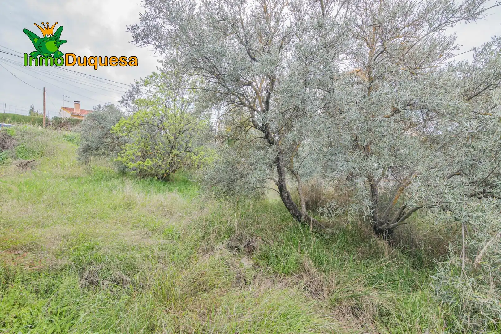 Terreni e lotti in vendita a Cúllar Vega, imagen 17