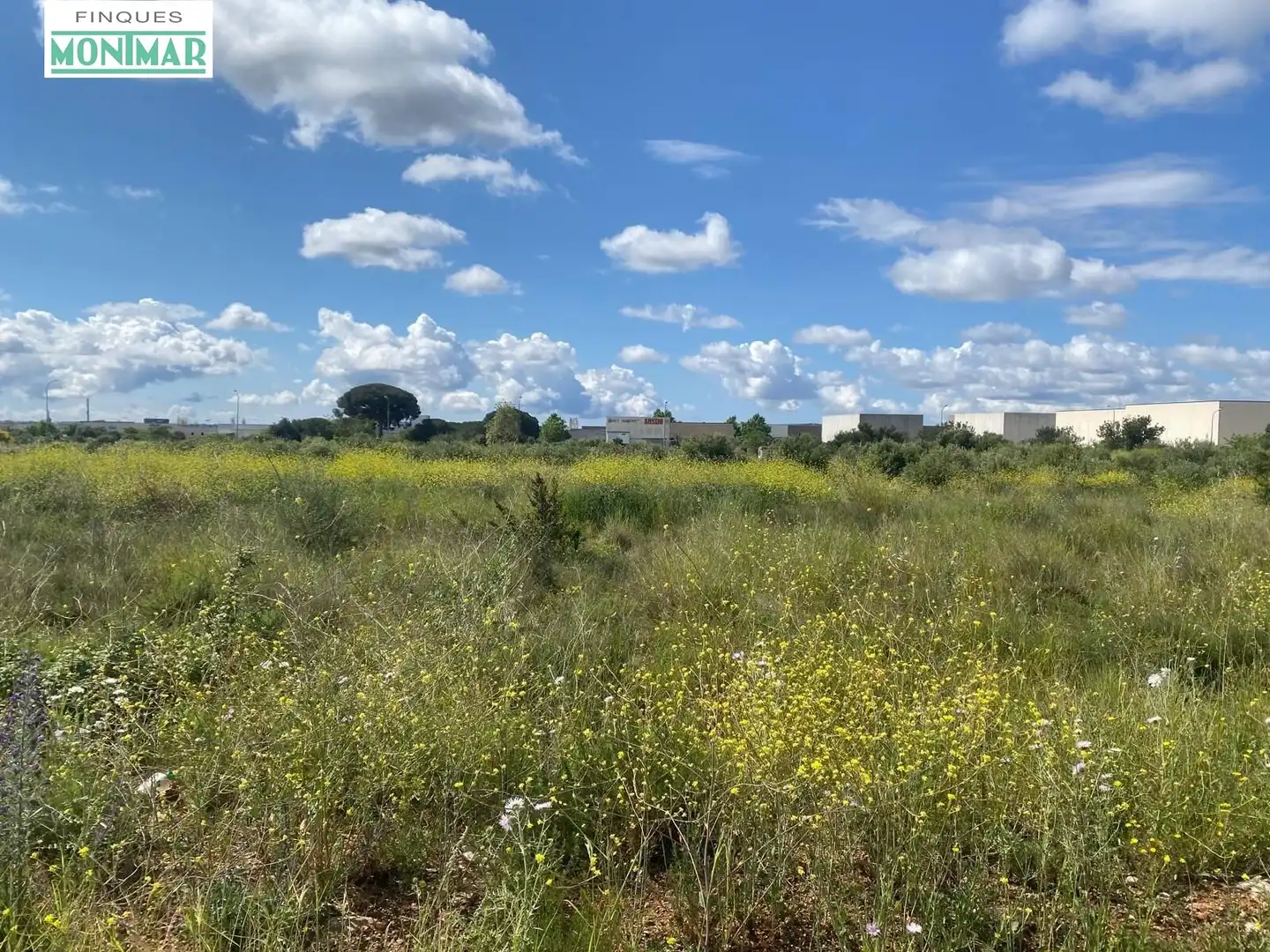 Terreno industriale in vendita a Valls, imagen 5