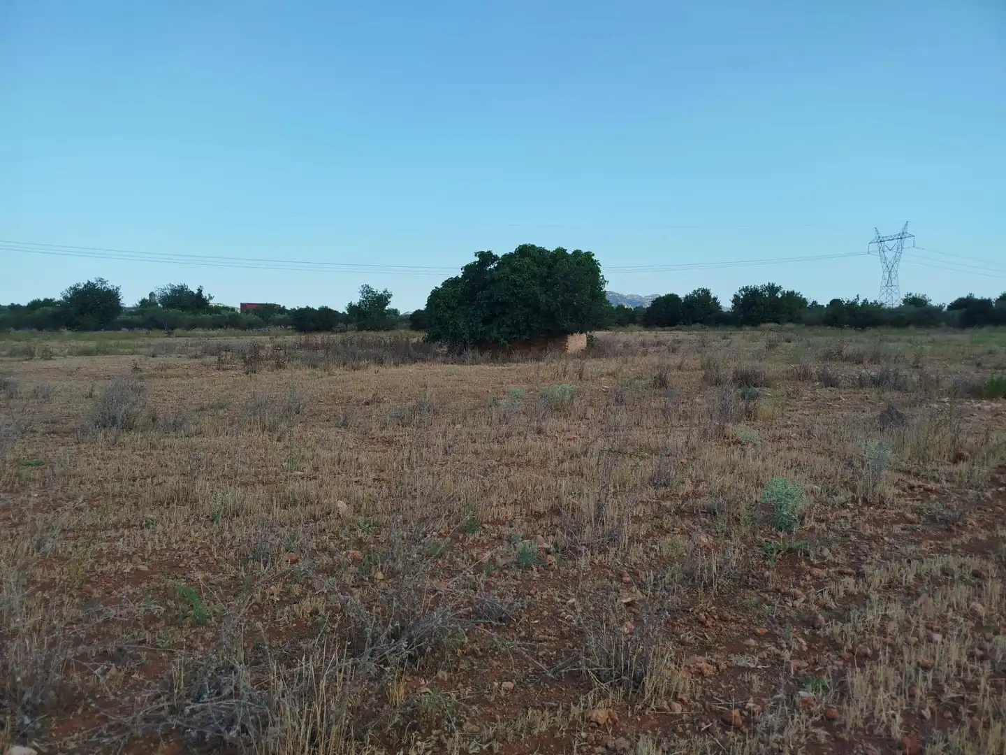 Rural land for sale in Masdenverge, imagen 4
