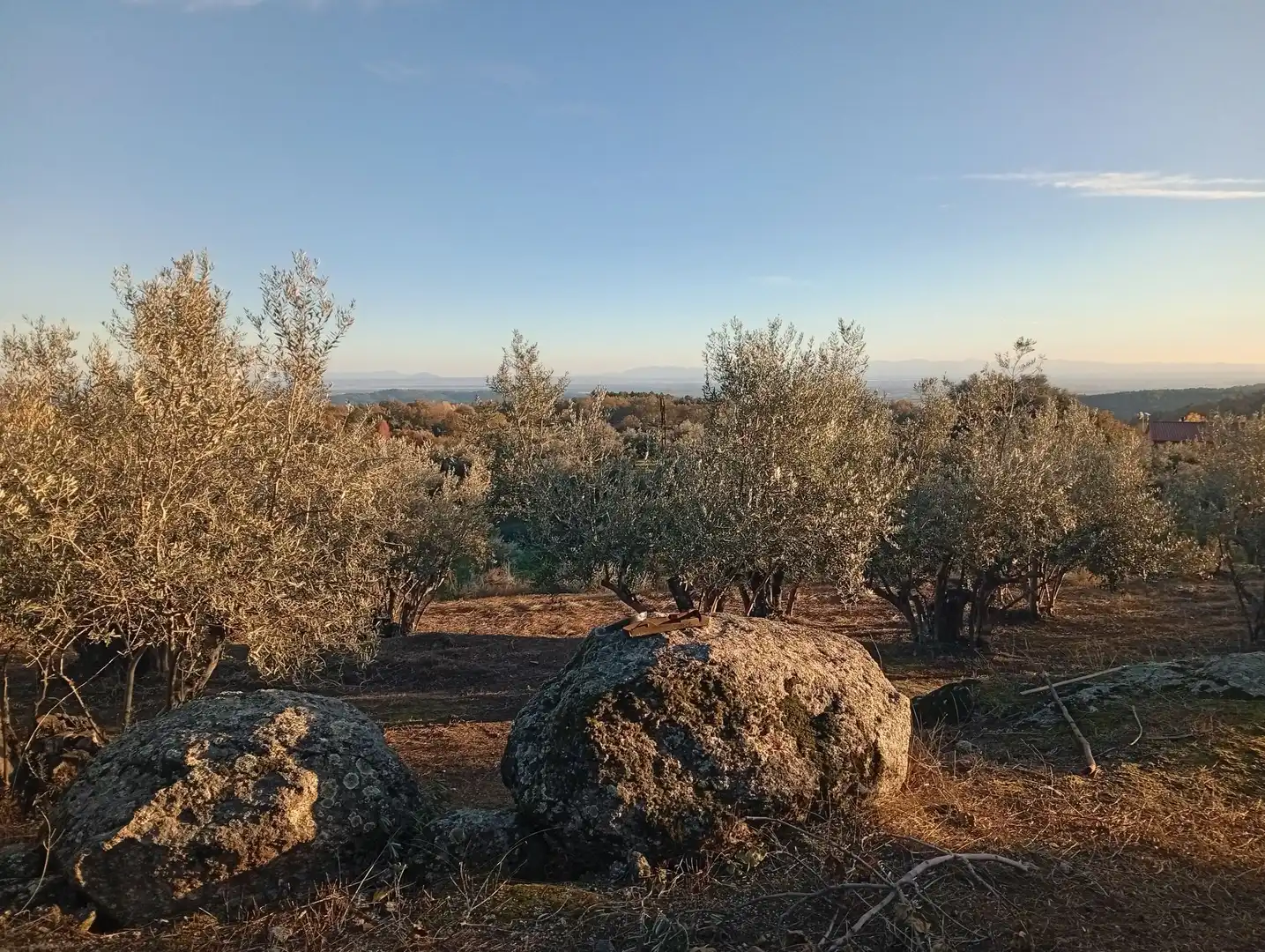 Terreni e lotti in vendita a Villanueva de la Vera
