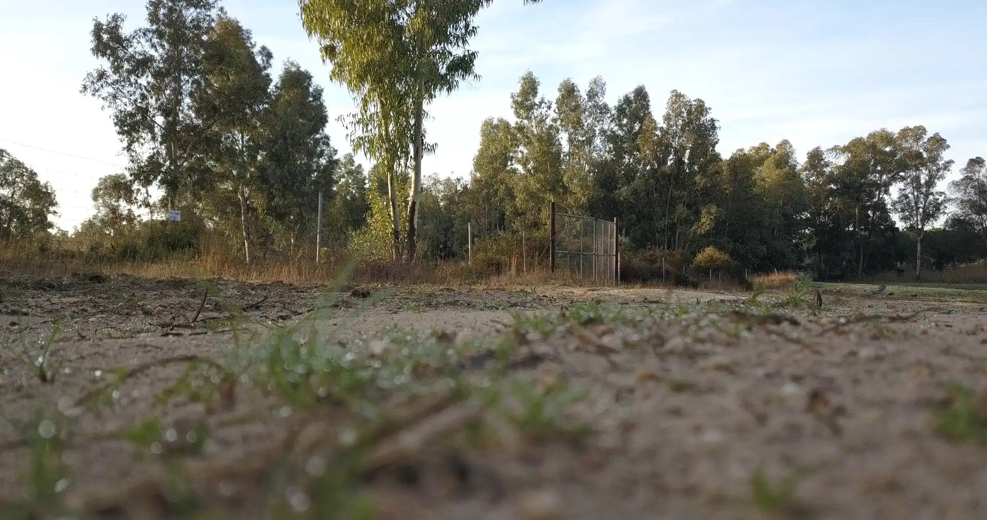Finca rústica en venda en Almonte