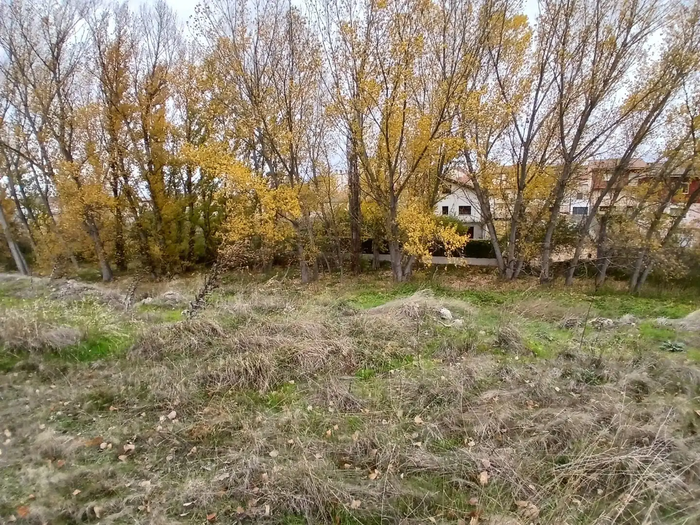 Terreny residencial en venda a Calle Dureo 34, imagen 4