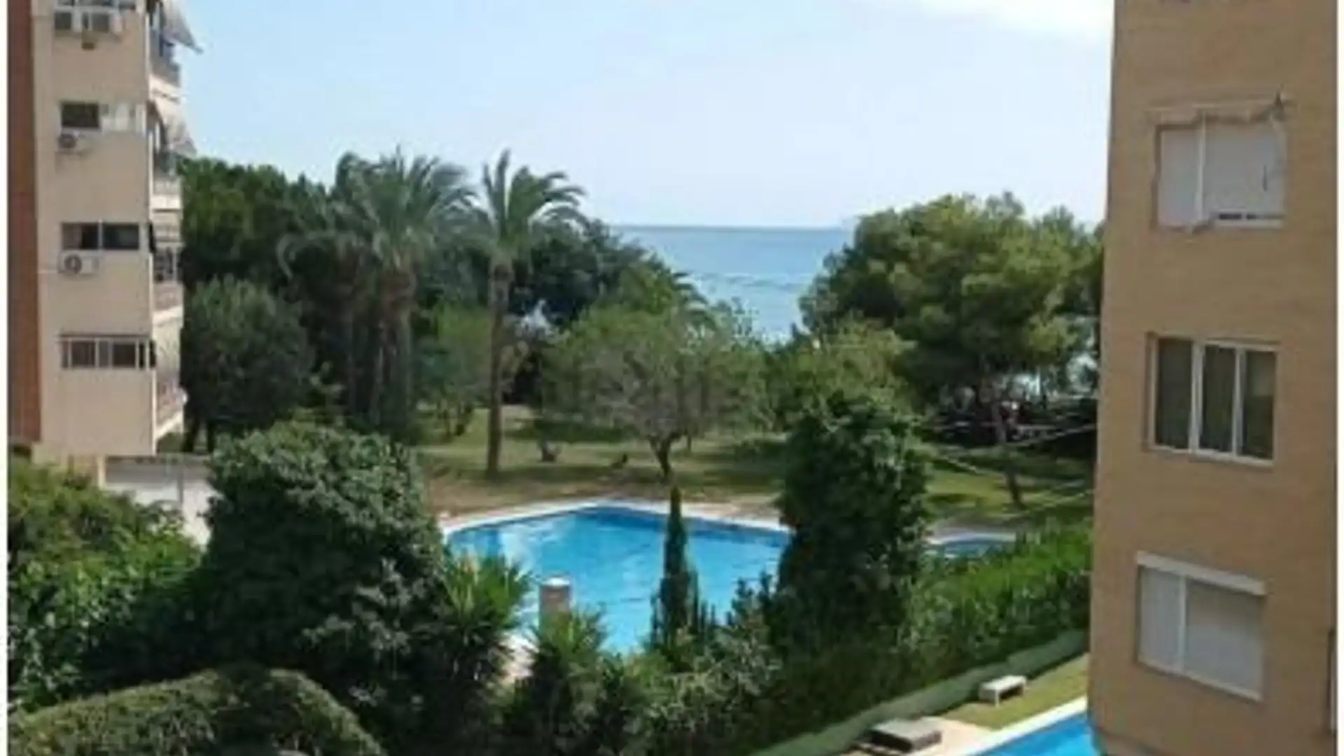 Swimming pool of Flat for rent in Alicante / Alacant  with Air Conditioner, Heating and Private garden