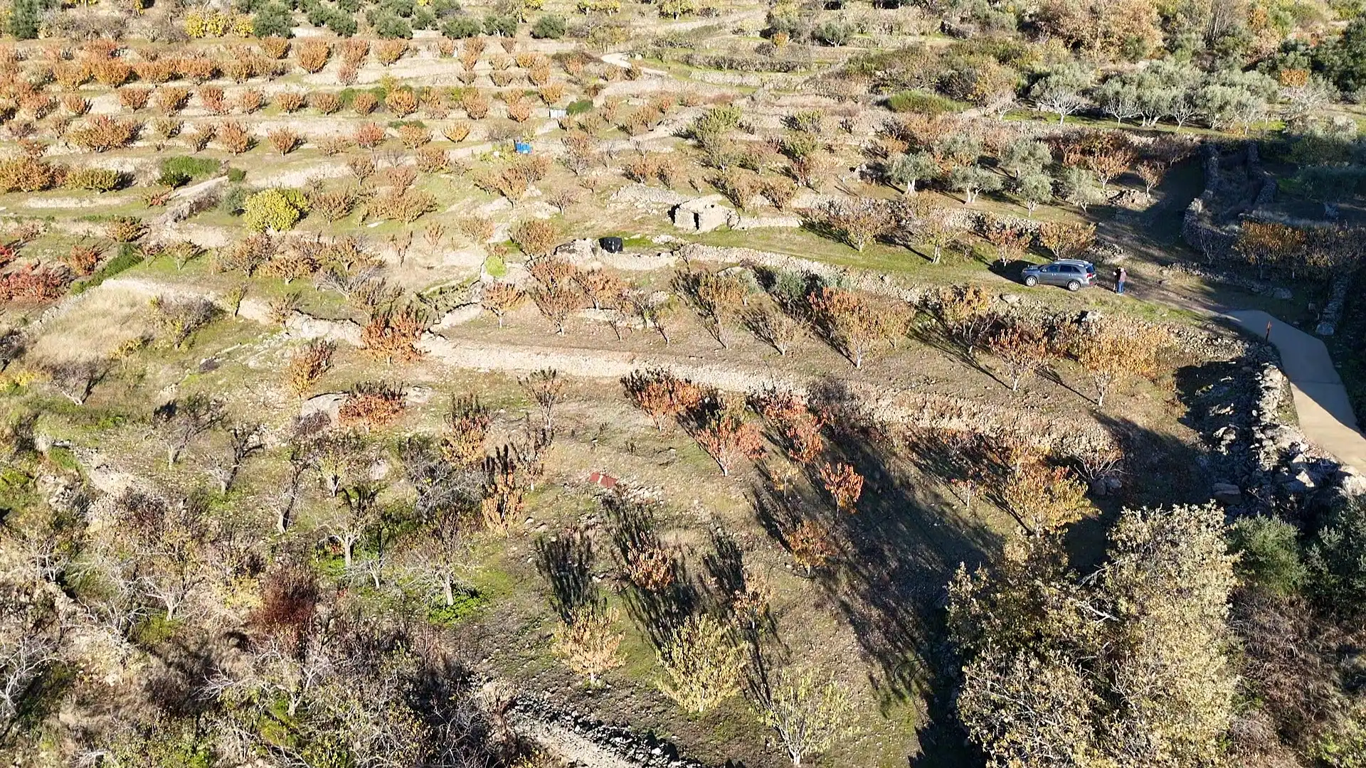 Land for sale in Arroyomolinos de la Vera