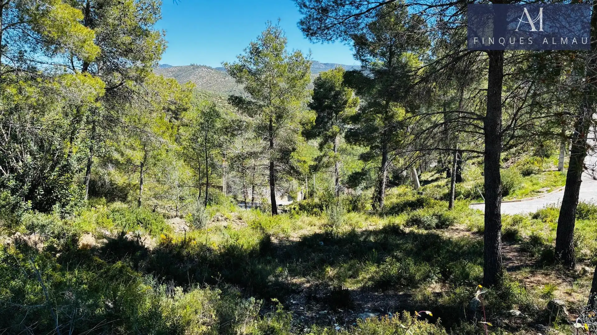 Wohnbaugrundstück zum Verkauf in Avenida de la Sardana, imagen 9