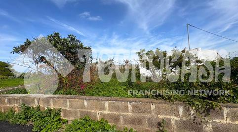 Photo 4 of Industrial land for sale in Los Portales - Visvique, Arucas