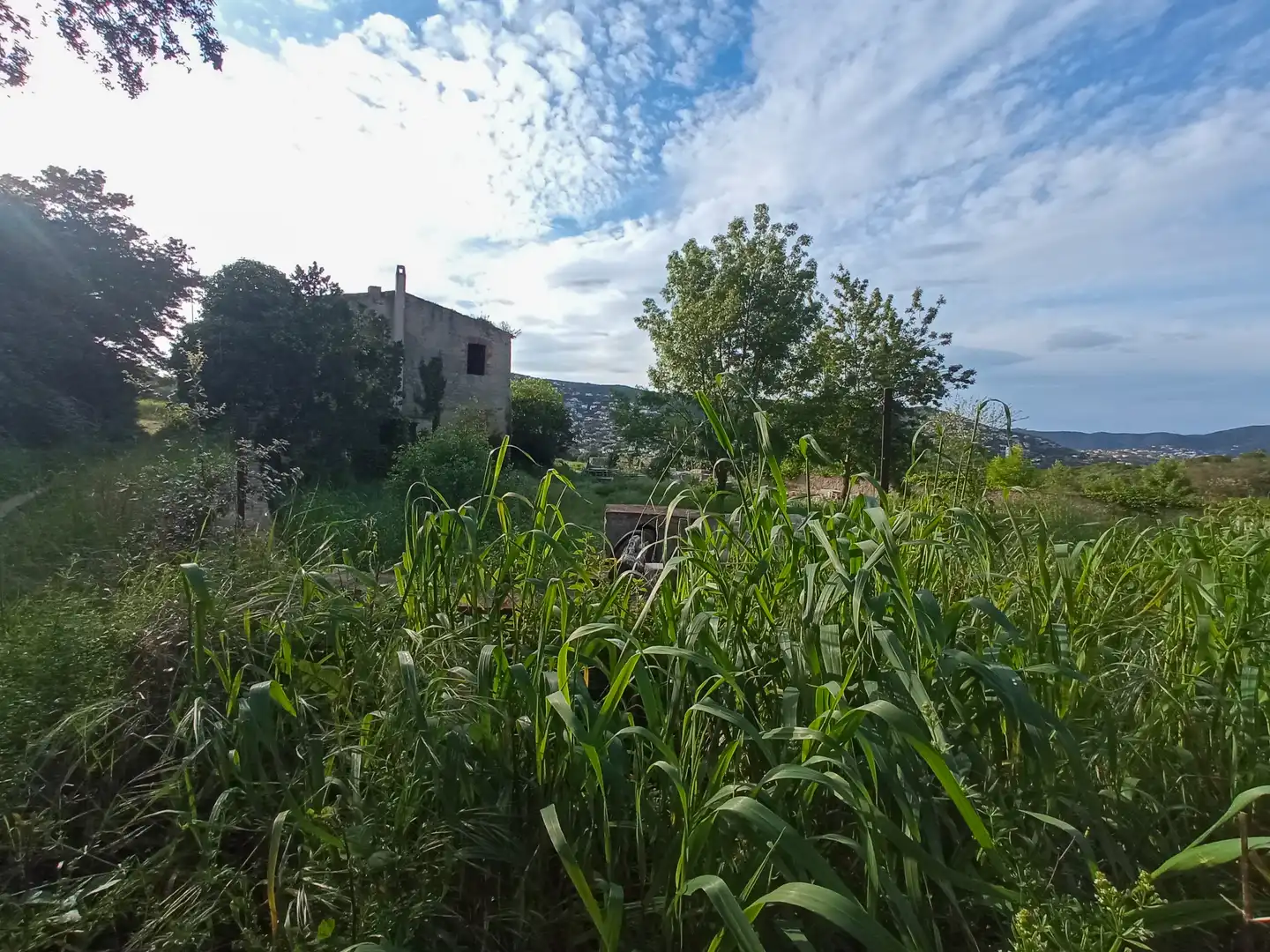 Landhaus mit Garten zum Verkauf in Carrer Olivera 25, imagen 5