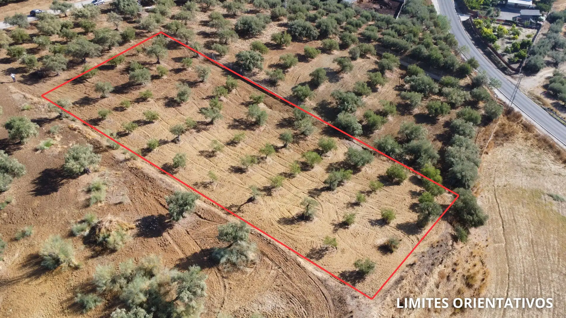 Rural land for sale in Camino la Ramita, Alhaurín de la Torre, Málaga, Spain